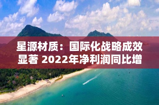 星源材質：國際化戰略成效顯著 2022年凈利潤同比增長154.25%