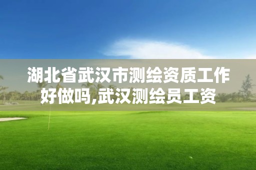 湖北省武漢市測繪資質工作好做嗎,武漢測繪員工資