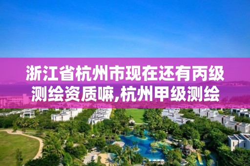 浙江省杭州市現在還有丙級測繪資質嘛,杭州甲級測繪公司有哪些。