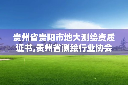 貴州省貴陽市地大測繪資質證書,貴州省測繪行業協會