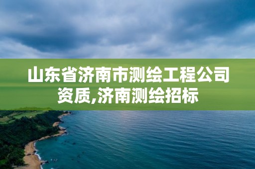 山東省濟南市測繪工程公司資質,濟南測繪招標