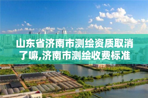 山東省濟南市測繪資質取消了嘛,濟南市測繪收費標準