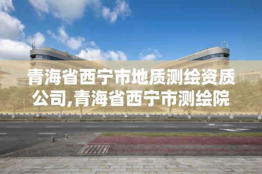 青海省西寧市地質測繪資質公司,青海省西寧市測繪院