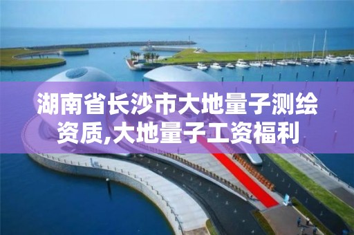 湖南省長沙市大地量子測繪資質,大地量子工資福利