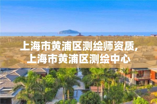 上海市黃浦區(qū)測(cè)繪師資質(zhì),上海市黃浦區(qū)測(cè)繪中心