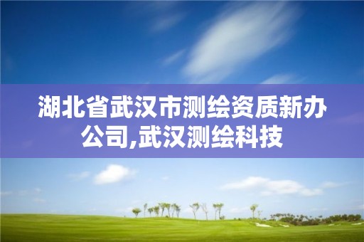 湖北省武漢市測繪資質新辦公司,武漢測繪科技