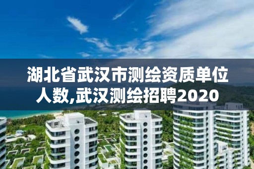 湖北省武漢市測(cè)繪資質(zhì)單位人數(shù),武漢測(cè)繪招聘2020