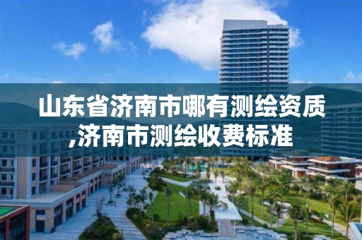 山東省濟南市哪有測繪資質,濟南市測繪收費標準