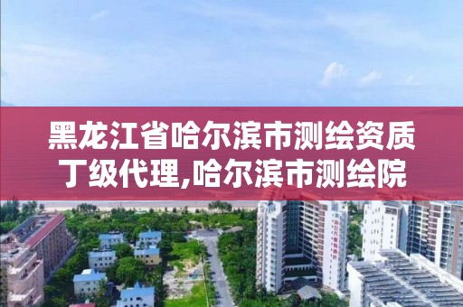 黑龍江省哈爾濱市測繪資質丁級代理,哈爾濱市測繪院