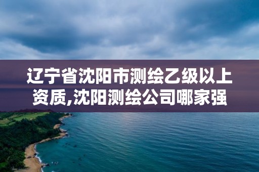 遼寧省沈陽市測繪乙級以上資質,沈陽測繪公司哪家強哪家好