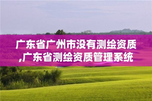 廣東省廣州市沒有測繪資質(zhì),廣東省測繪資質(zhì)管理系統(tǒng)