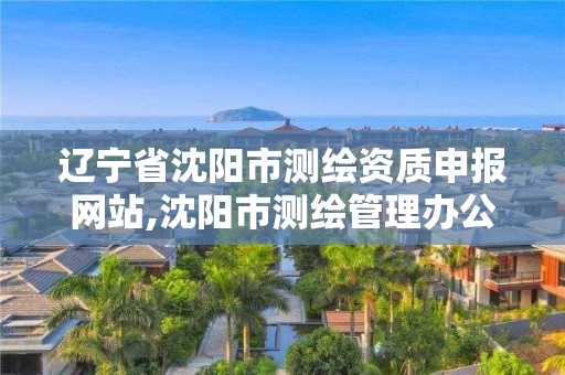 遼寧省沈陽市測繪資質申報網站,沈陽市測繪管理辦公室