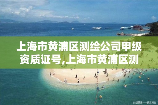 上海市黃浦區測繪公司甲級資質證號,上海市黃浦區測繪公司甲級資質證號是多少