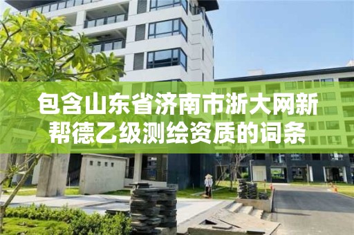 包含山東省濟南市浙大網新幫德乙級測繪資質的詞條