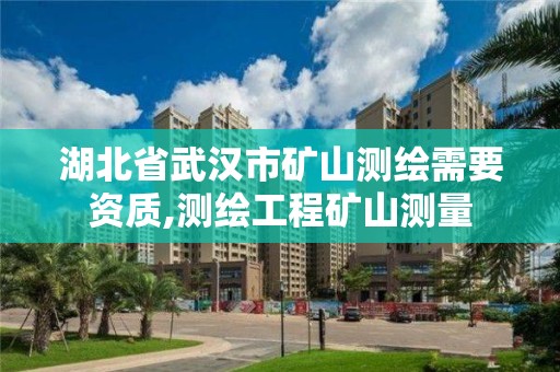 湖北省武漢市礦山測繪需要資質,測繪工程礦山測量