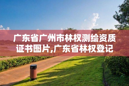 廣東省廣州市林權測繪資質證書圖片,廣東省林權登記管理辦法。