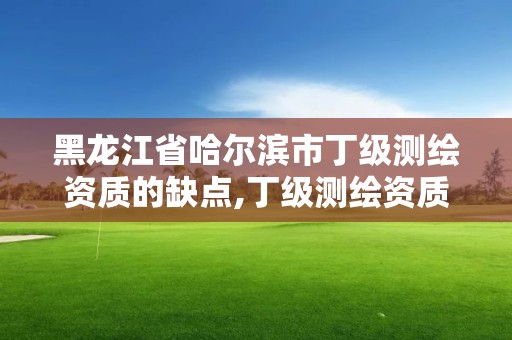 黑龍江省哈爾濱市丁級測繪資質(zhì)的缺點,丁級測繪資質(zhì)申請人員條件