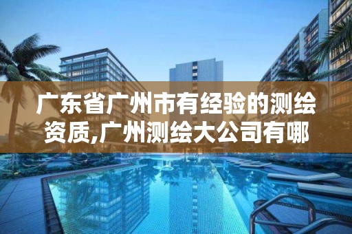 廣東省廣州市有經驗的測繪資質,廣州測繪大公司有哪些