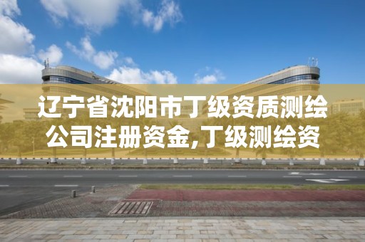 遼寧省沈陽市丁級資質測繪公司注冊資金,丁級測繪資質經營范圍。