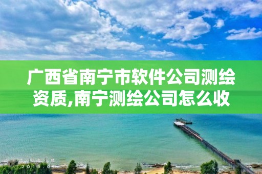 廣西省南寧市軟件公司測繪資質,南寧測繪公司怎么收費標準