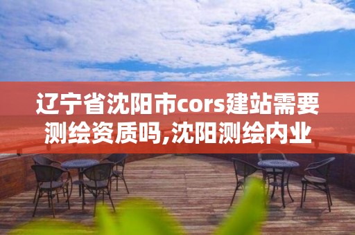 遼寧省沈陽市cors建站需要測繪資質(zhì)嗎,沈陽測繪內(nèi)業(yè)招聘