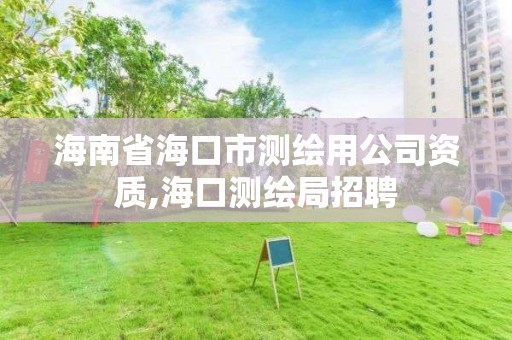 海南省海口市測繪用公司資質,?？跍y繪局招聘