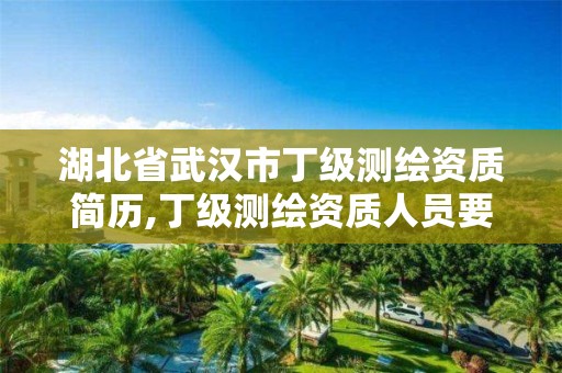 湖北省武漢市丁級測繪資質簡歷,丁級測繪資質人員要求