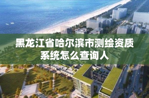 黑龍江省哈爾濱市測繪資質系統怎么查詢人