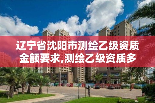 遼寧省沈陽市測繪乙級資質金額要求,測繪乙級資質多少錢