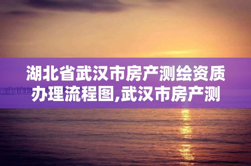 湖北省武漢市房產測繪資質辦理流程圖,武漢市房產測繪中心簡介。