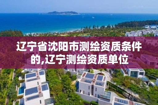 遼寧省沈陽市測繪資質條件的,遼寧測繪資質單位