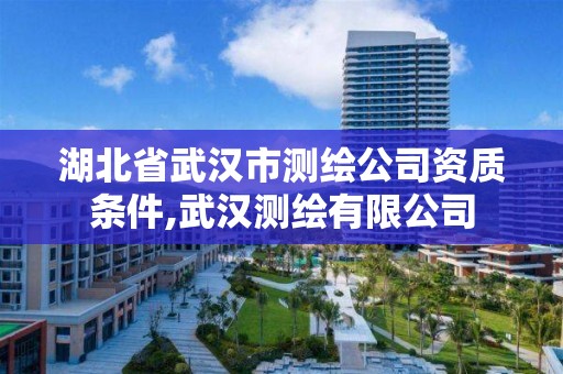 湖北省武漢市測繪公司資質條件,武漢測繪有限公司