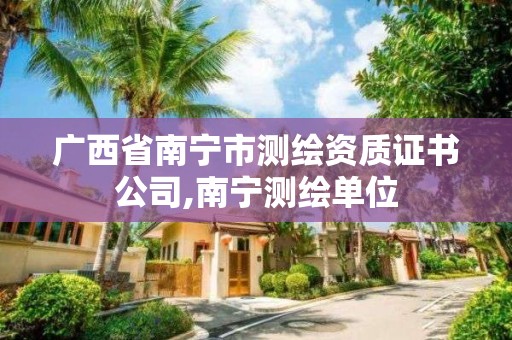 廣西省南寧市測繪資質(zhì)證書公司,南寧測繪單位