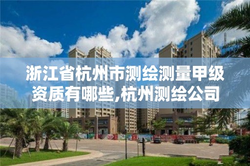 浙江省杭州市測繪測量甲級資質有哪些,杭州測繪公司有哪幾家。