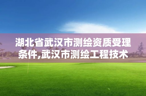 湖北省武漢市測繪資質受理條件,武漢市測繪工程技術規定