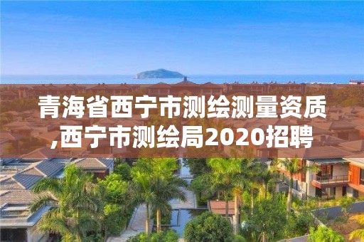 青海省西寧市測繪測量資質,西寧市測繪局2020招聘