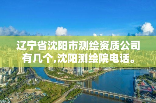 遼寧省沈陽市測繪資質公司有幾個,沈陽測繪院電話。