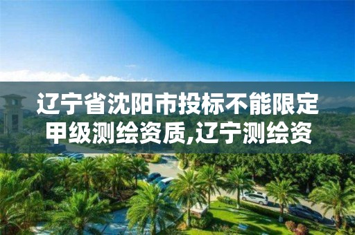 遼寧省沈陽市投標不能限定甲級測繪資質,遼寧測繪資質查詢