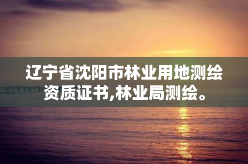 遼寧省沈陽市林業用地測繪資質證書,林業局測繪。