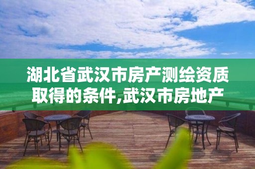 湖北省武漢市房產測繪資質取得的條件,武漢市房地產測繪實施細則