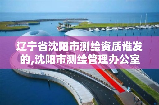 遼寧省沈陽市測繪資質誰發的,沈陽市測繪管理辦公室