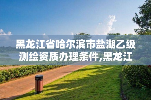 黑龍江省哈爾濱市鹽湖乙級測繪資質辦理條件,黑龍江測繪公司乙級資質。