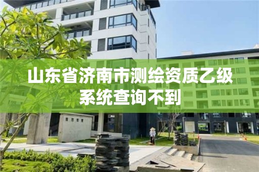 山東省濟南市測繪資質乙級系統查詢不到