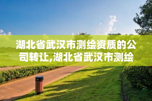 湖北省武漢市測繪資質的公司轉讓,湖北省武漢市測繪資質的公司轉讓有哪些