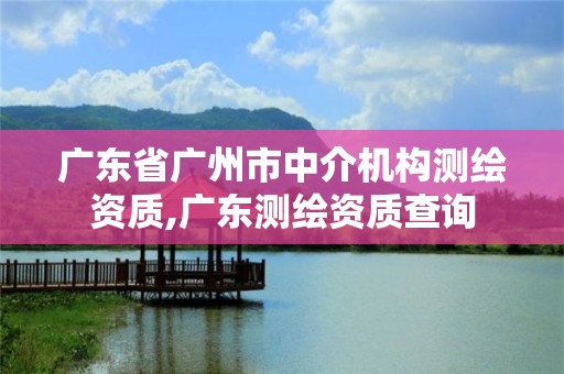 廣東省廣州市中介機(jī)構(gòu)測(cè)繪資質(zhì),廣東測(cè)繪資質(zhì)查詢