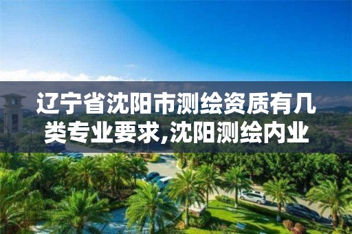 遼寧省沈陽市測繪資質有幾類專業要求,沈陽測繪內業招聘信息。