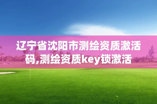 遼寧省沈陽市測繪資質激活碼,測繪資質key鎖激活