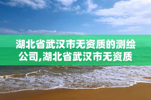 湖北省武漢市無資質的測繪公司,湖北省武漢市無資質的測繪公司名單