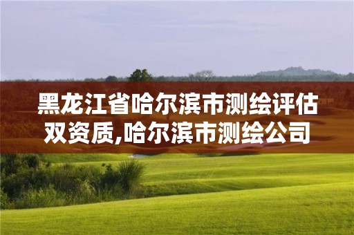 黑龍江省哈爾濱市測繪評估雙資質,哈爾濱市測繪公司