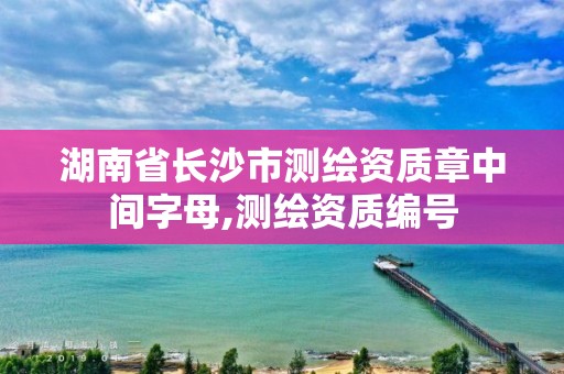 湖南省長沙市測繪資質章中間字母,測繪資質編號